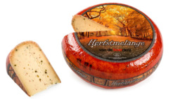 Boerderij Herfstmelange Boerderij Herfstmelange