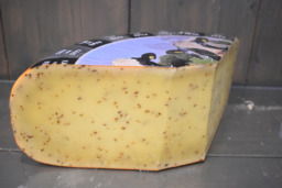 kaas van Kees komijnen kaas oud