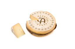 M.A. Sangles M.A. Sangles