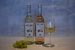 Trattoria Inzolia  & Pinot Grigio