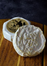 Witte van Köning Witte van Köning