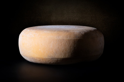 WESTFRIES BIO WESTFRIES BIO