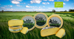 Biologische kaas mild Biologische kaas mild